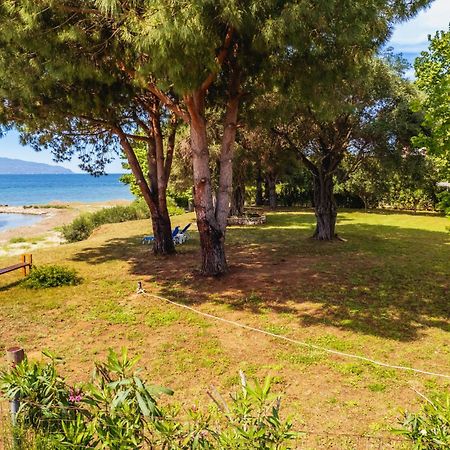 Kiani Akti Villas Превеза Экстерьер фото